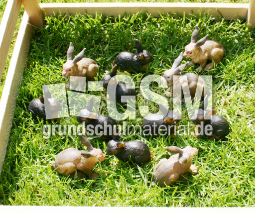 Kaninchen-5+7.jpg